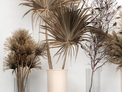 Bouquet collection of dried flowers in a vase 181 3D model