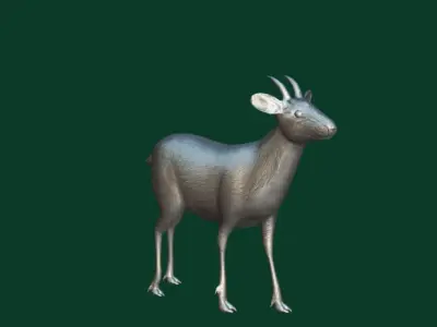 Duiker Brown Antelope Animal Low-poly 3D model