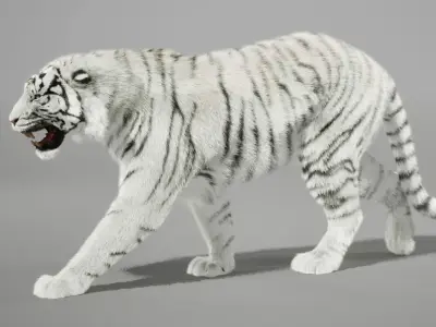 White Tiger Animated UNREAL project  Maya base rig 3D model