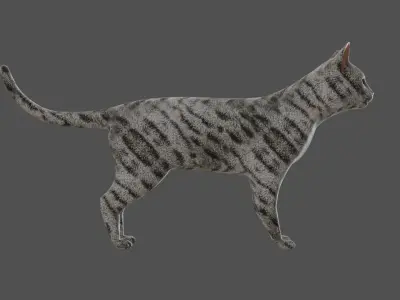 Cat realistic PBR Low-poly 3D model