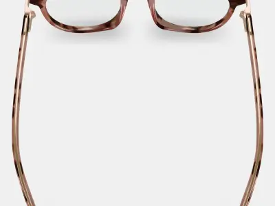 Sadie Eyeglasses in Sesame Tortoise with Polished Gold 3D model
