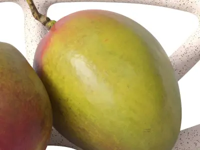 Nested bowl with mango 3D model