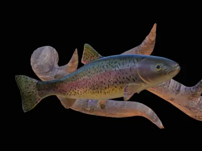 RAINBOW UNDERWATER STATUE ON THE WALL DETAILED TEXTURE 3D print model