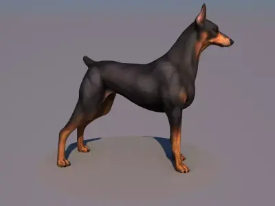 AMdog animations only c4d Low-poly 3D model