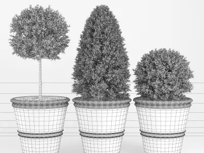 Plant Three 3D model