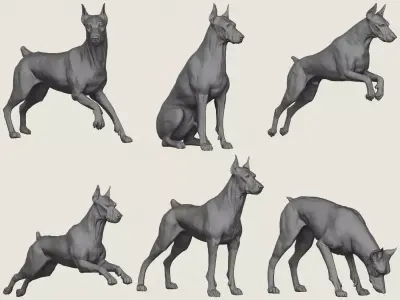 Doberman Dog Pose Collection 3D print model