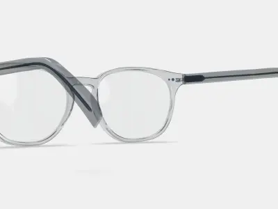 Carlton Eyeglasses in Crystal 3D model