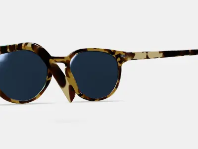 Wright Sunglasses in Walnut Tortoise 3D model