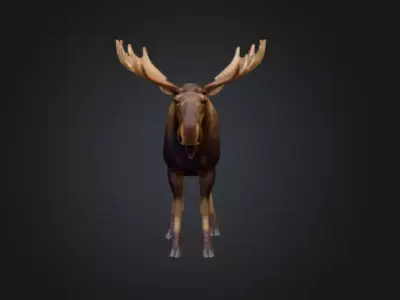 Photorealistic Male Moose Low-poly 3D model