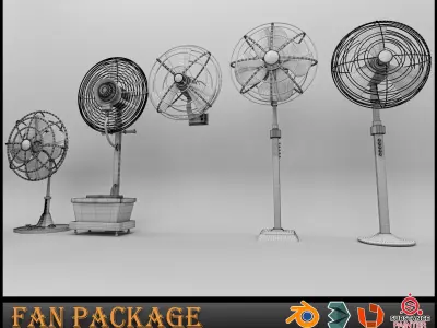 Fan Package 3D model