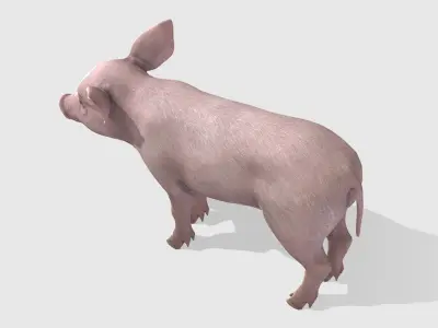 Piglet Low-poly 3D model