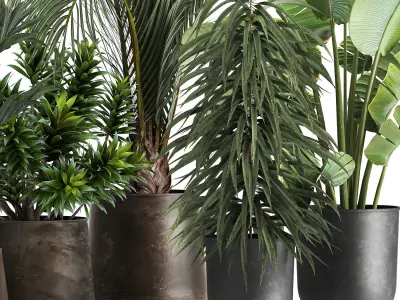 exotic plants in a metal flowerpot for the interior 1110 3D model