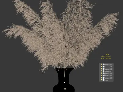 Dried plant 3D model