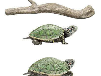 Reptile set two iguanas Low-poly 3D model