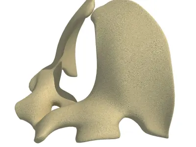 Torso of an Animal 3D model