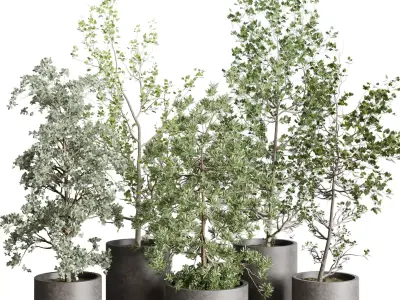 Collection Outdoor plant 106 pot Tree Bush Concrete Dirty Vase 3D model