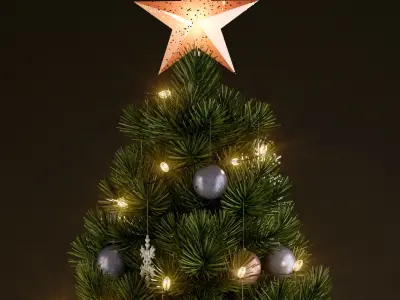 Plants collection 135 christmas tree 3D model