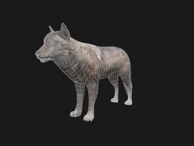 Wolf Game Model Low-poly 3D model