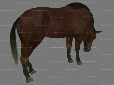 Horse Animated 3D model