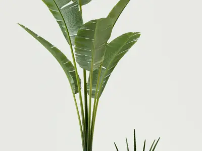 Plants collection 76 Modernica pots 3D model