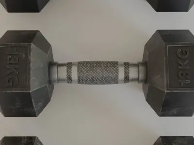 Hex Dumbbell 13 kg 3D model