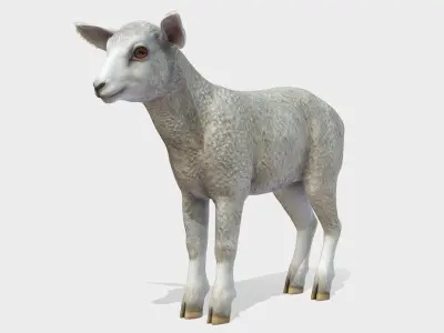 SHEEP FAMILY Low-poly 3D model
