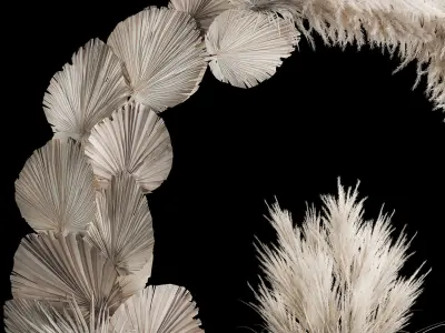 Wedding arch made of dry palm branches and pampas grass 3D model