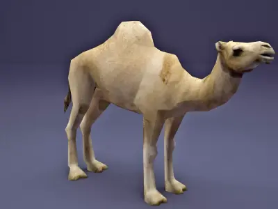 Low Poly Camel Model Low-poly 3D model