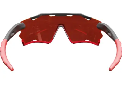 Sleek Sports Sunglasses 3D model
