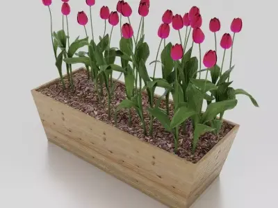 Flowers plants box - Low-poly vegetation model Low-poly 3D model