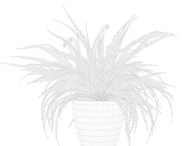 Fern in white pot 3D model purchase