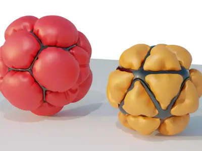 Organic Spheres 3D model
