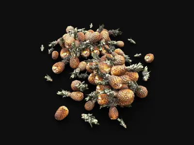 PINEAPPLE ANANAS STOCK PILE STREET MARKET PROP Low-poly 3D model