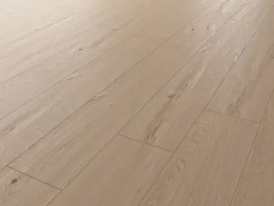 Wood Floor Oak Colonial Style Sanded 3D model