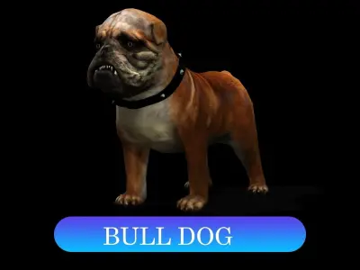 13 Dogs Pack 3D Model Collection Low-poly 3D model