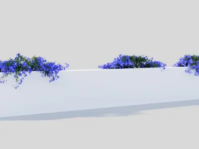 Lobelia erinus b 3D model