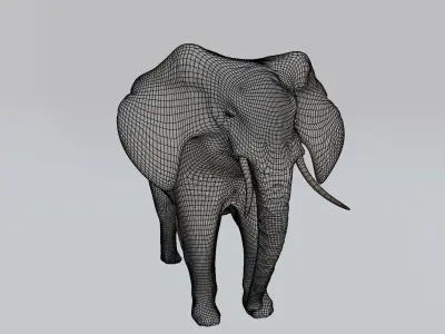 Elephant Low-poly 3D model