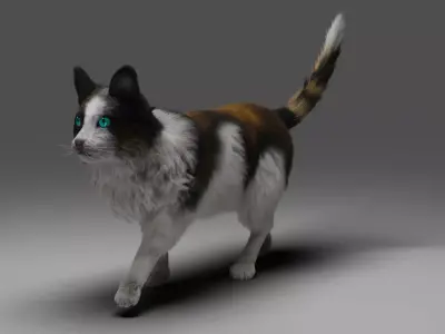 Fur Calico Cat Rigged 01 Low-poly 3D model