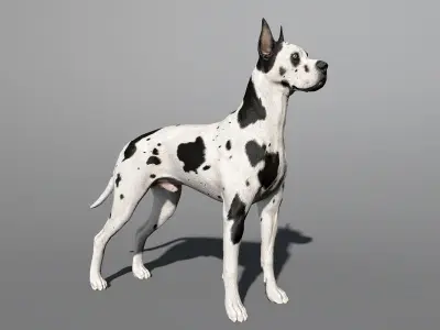 Great Dane Real-Time Low-poly 3D model