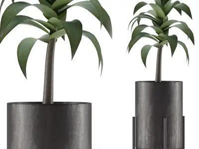 House Plant 22 3D model