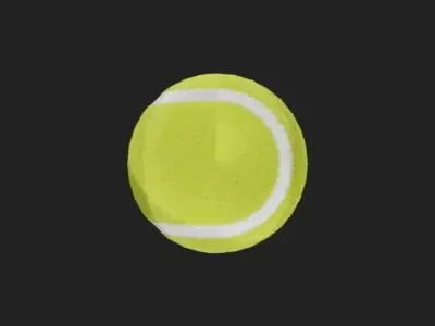 Tennis Ball 3D model