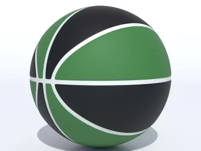 Wilson Boston Celtics Basketball 3D model