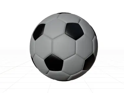 Generic Black and White Soccer Ball Free 3D model
