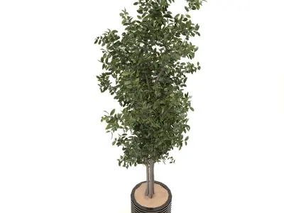 decoration flower-02 Low-poly 3D model