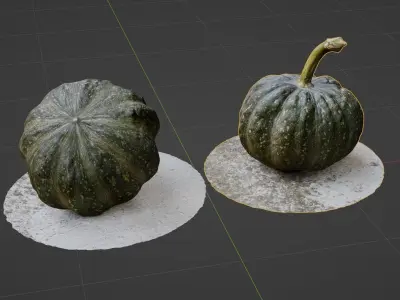 3D scanned pumpkin 3D model