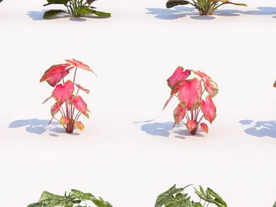 Grass and Modern Flowers Shrubs 3D model