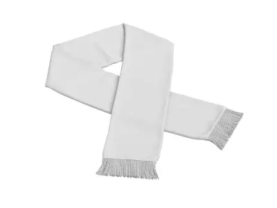 Football Fan Scarf 08 3D model