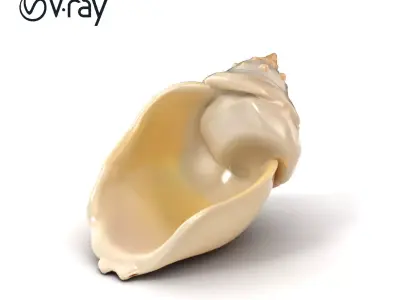 Luminous Seashell Sculpture model pack Low-poly 3D model