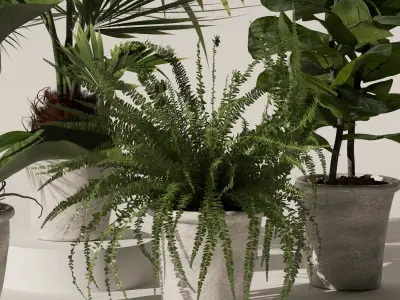 Plants collection 139 3D model