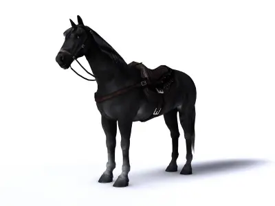 Black horse with saddle and bags Low-poly 3D model